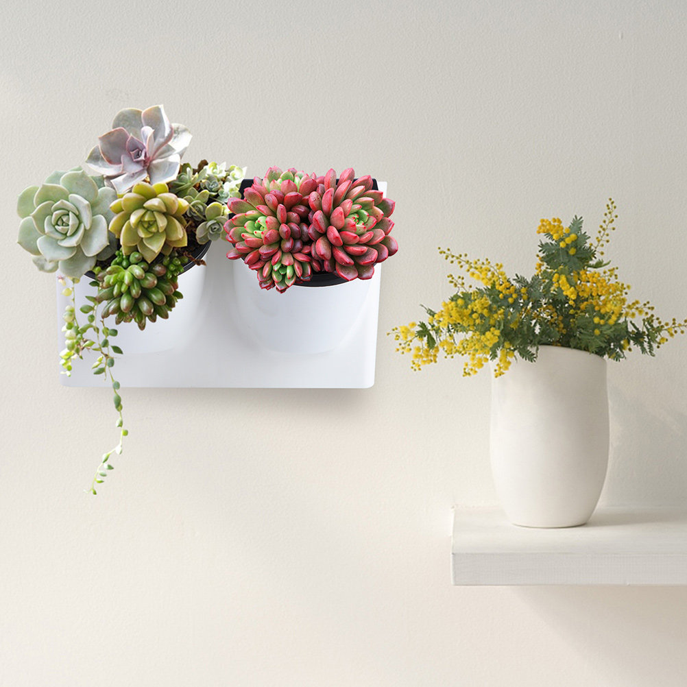 Self Watering Flower Pot Plast - огляд і ціна Succulent Planter Pot