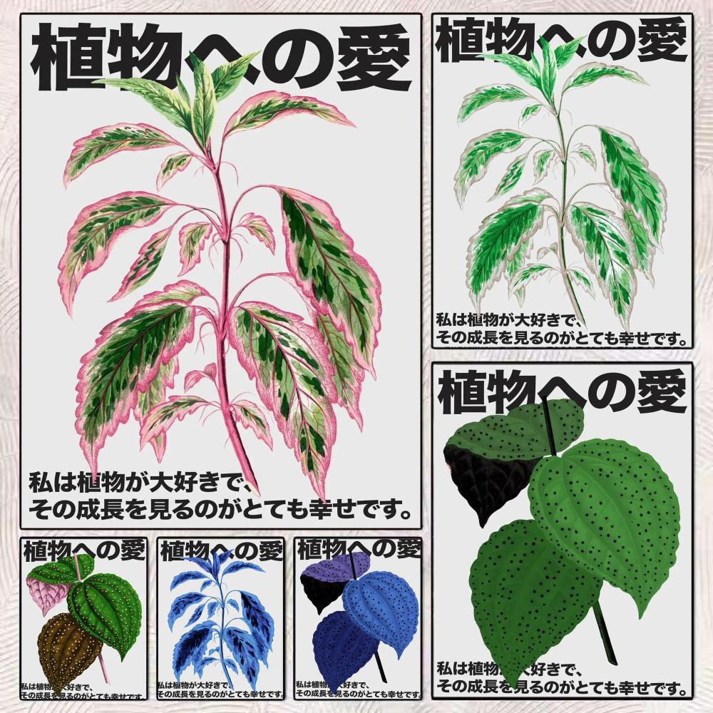 Japandi style Love for plants  - огляд і ціна Home Decor Japandi Style