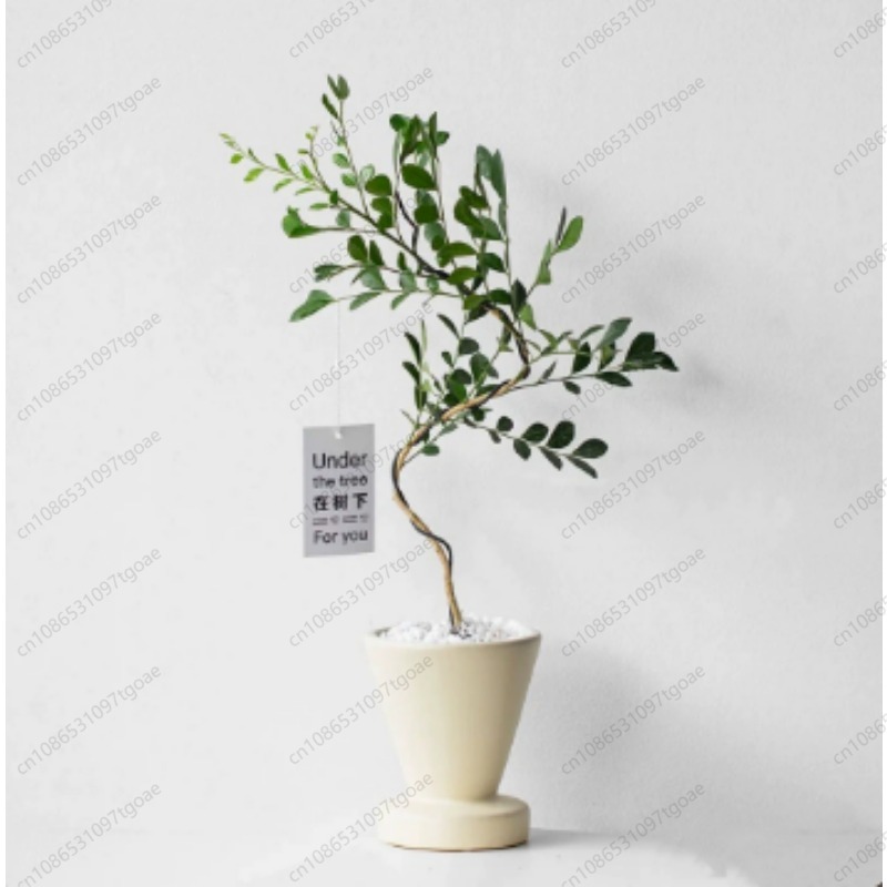 Minimalist Conical Ceramic Pla - огляд і ціна Succulent Planter Pot