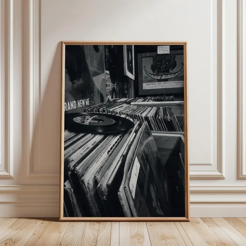 Modern Vinyl Record Store Blac - огляд і ціна Home Decor Store